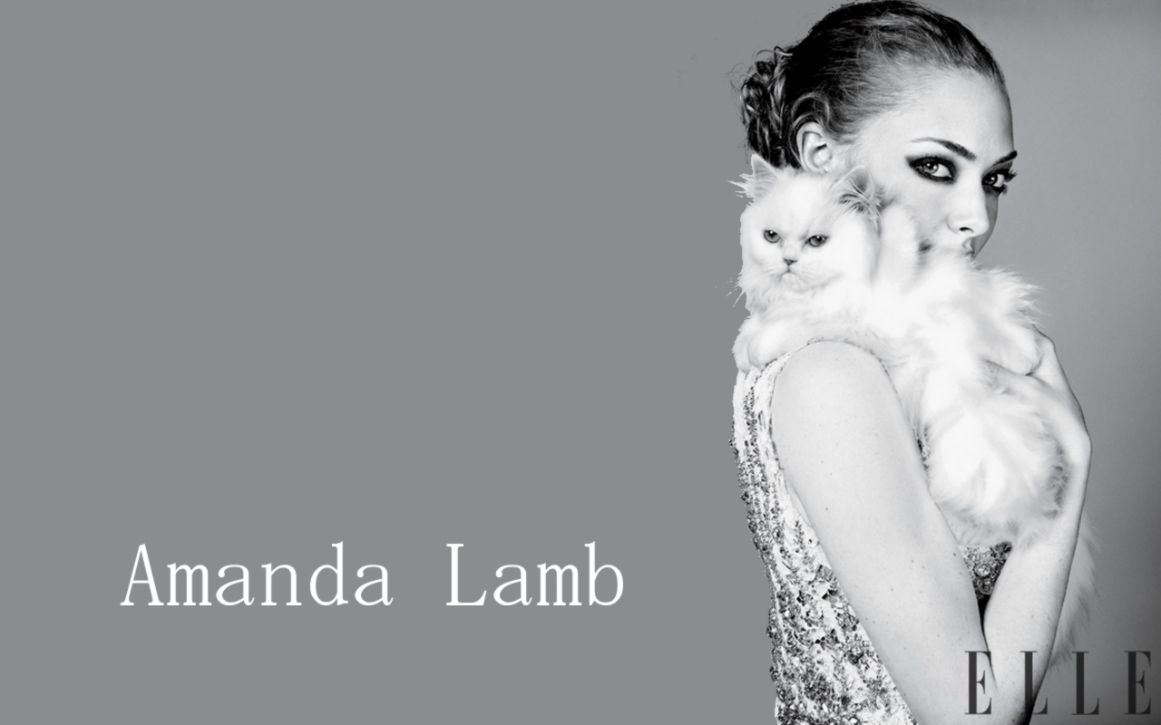 Filmovízia: Amanda Lamb Wallpaper