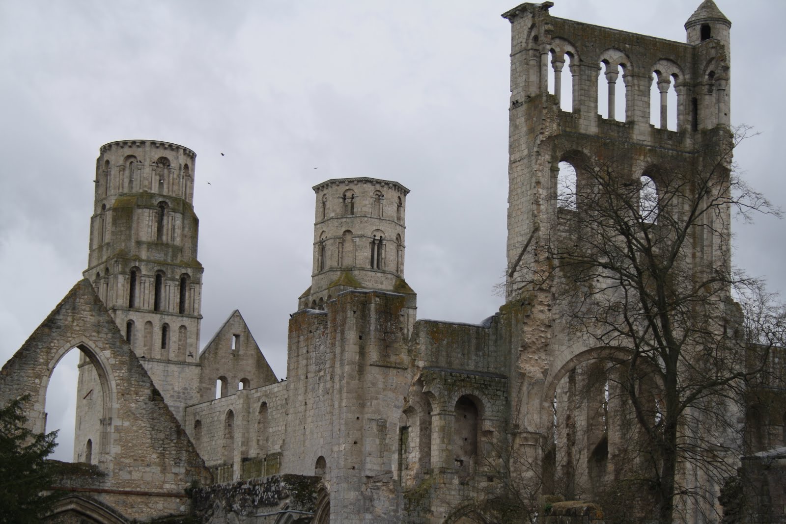 Ermitiella La Abadía de Santa María de Jumièges