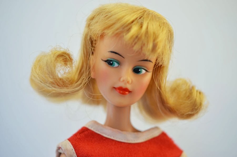 Awesome Photos of Adventurous Dolls