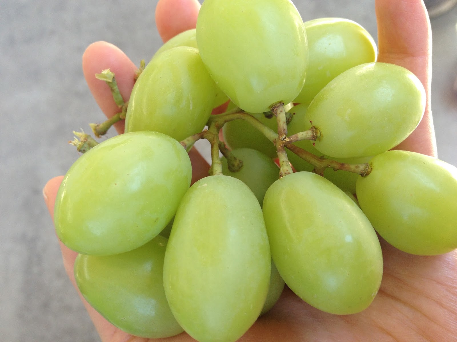 Fresh off the Boat in HK the hidden world of table grapes