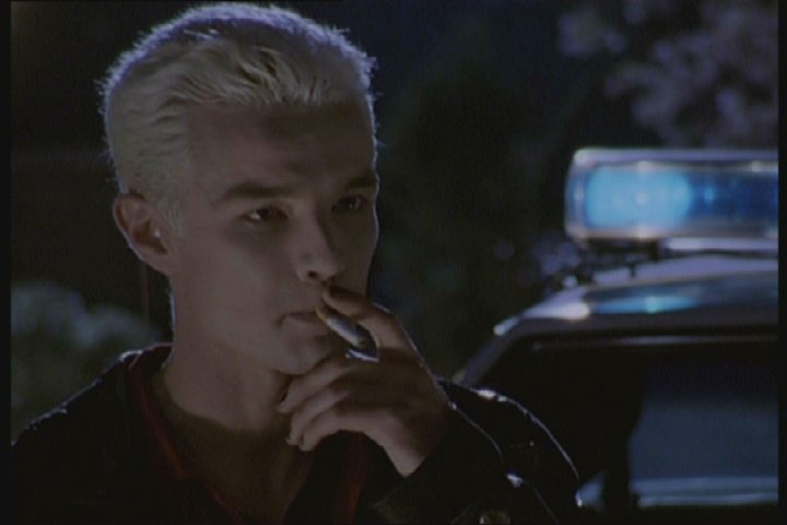 Spike Are Involved In Property Dispute the rabbit an analysis of spike and buffy s Spike Are Involved In Property Dispute the rabbit an analysis of spike and buffy s