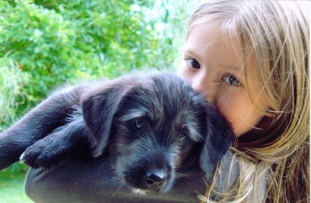 Hundeschule An Der Leine Hunde Und Kinder Eine Dicke Freundschaft
