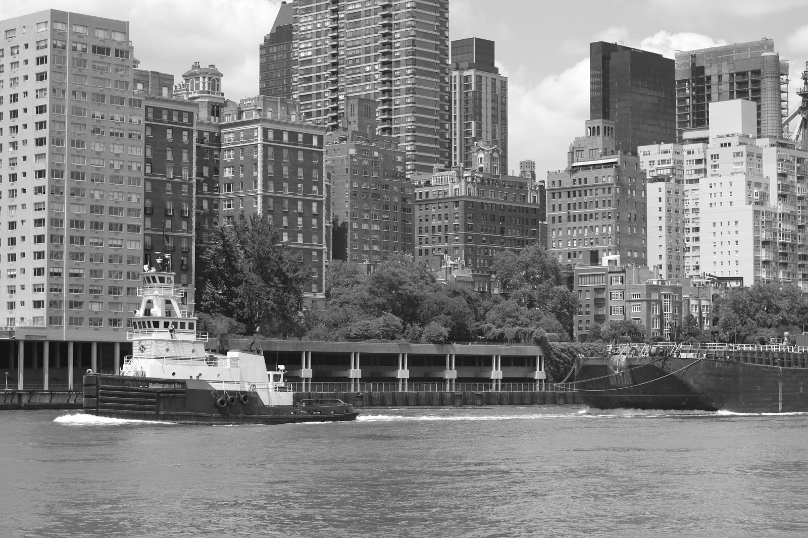 From The Inside Photography Roosevelt Island