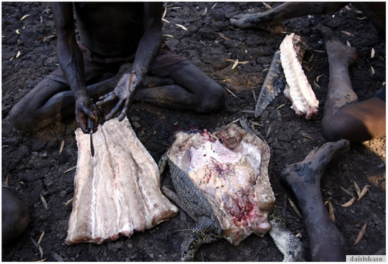 Bolivian Armadillos Pic Witch Craft Bolivian Armadillos Pic Witch Craft