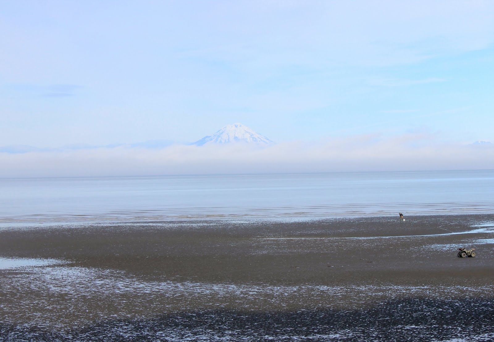 Clamming in Clam Gulch, Alaska To & Fro