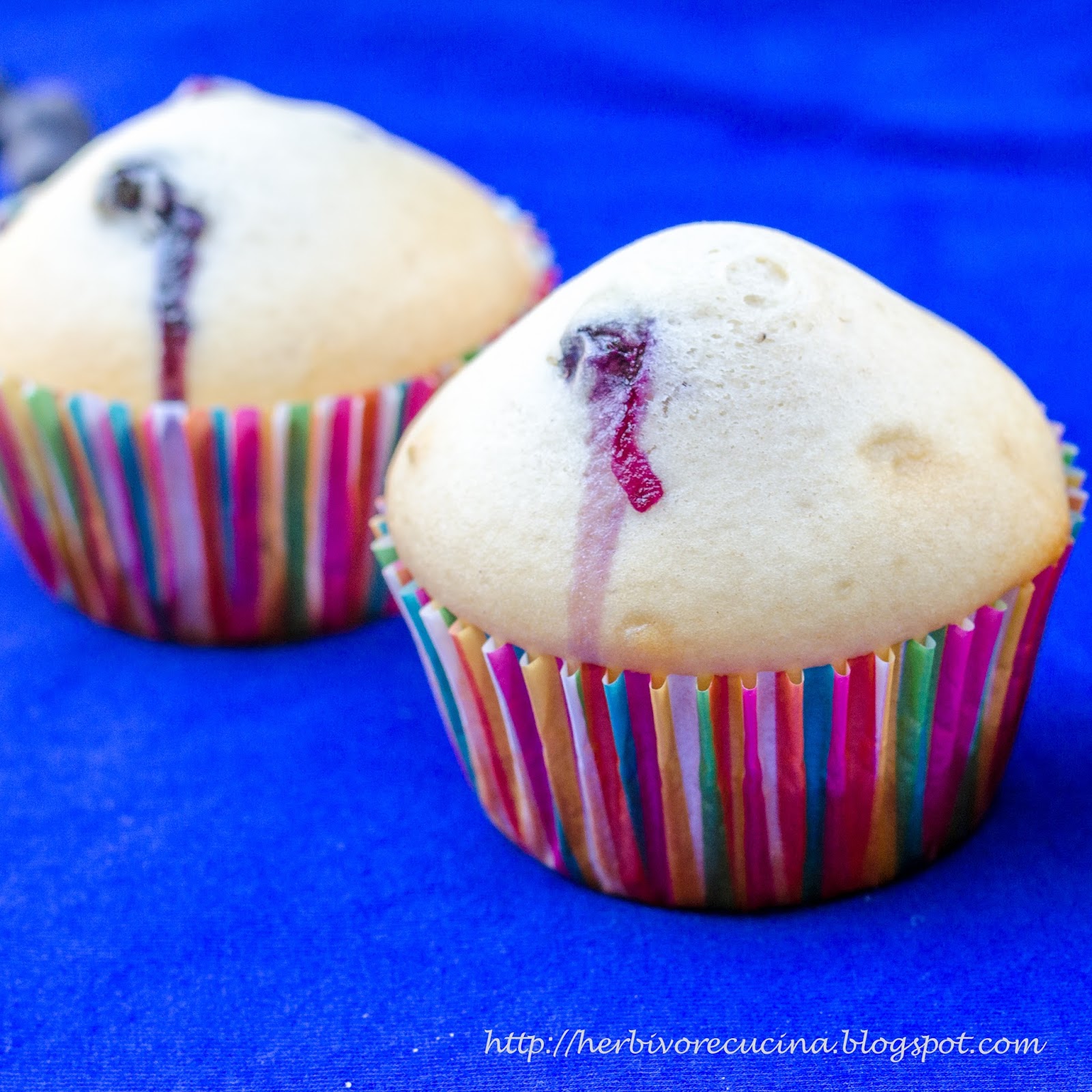 Herbivore Cucina Eggless Blueberry Yogurt Muffins