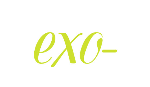 Tackling The Veterinary Terminology: Prefixes (exo-) | Dawg Business