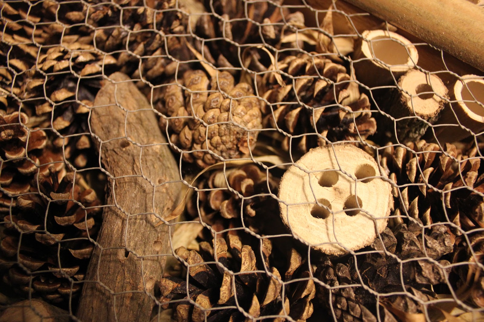 The Green Lever Using minimal resources for maximum quality of life