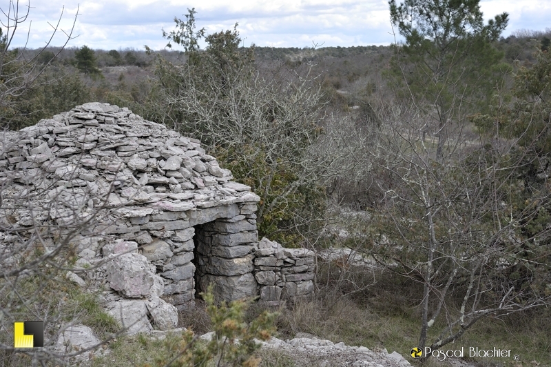 Capitelle photo blachier pascal