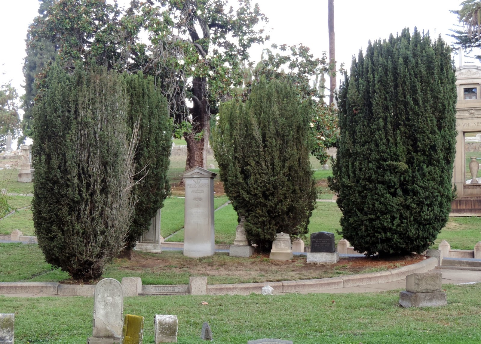 Eden By The Bay Trees of Mountain View Cemetery