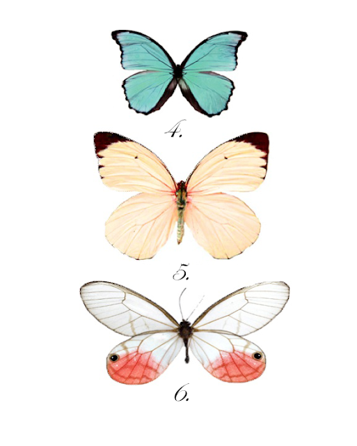 Free butterfly print download from http://domesticfashionista.com
