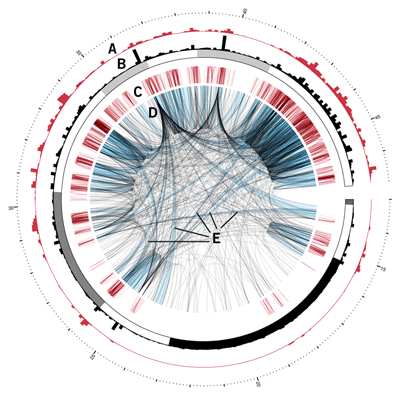 visualization data circos sample circular genome statistics gateway created complex