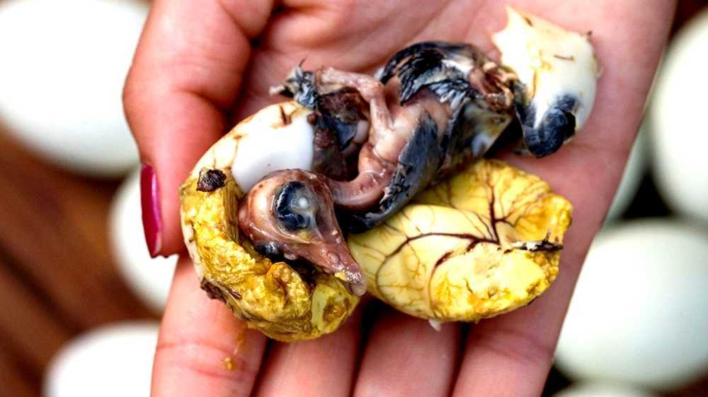 Balut (food)