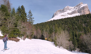 topo ski rando charteuse dent crolles