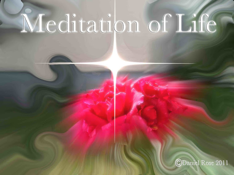MEDITATION OF LIFE