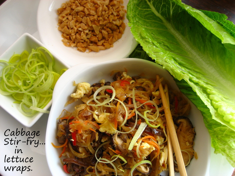 Home Cooking In Montana Asian Style Cabbage Stirfry(without noodles