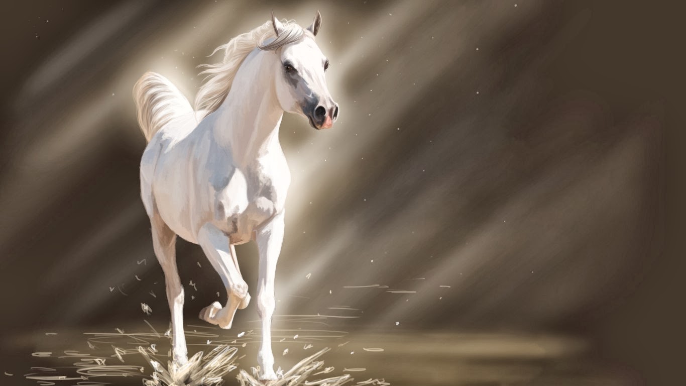 resim ve fotograf beyaz at resimleri