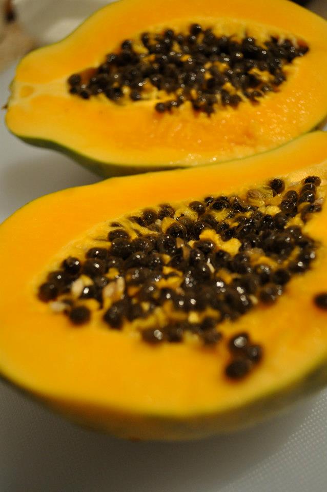 In Knots Maui 101 Eat & Sleep