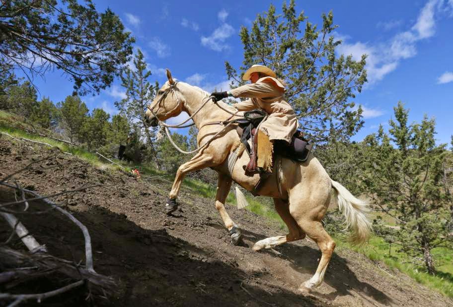 THE WESTERNER Oregon horse endurance ride draws hundreds