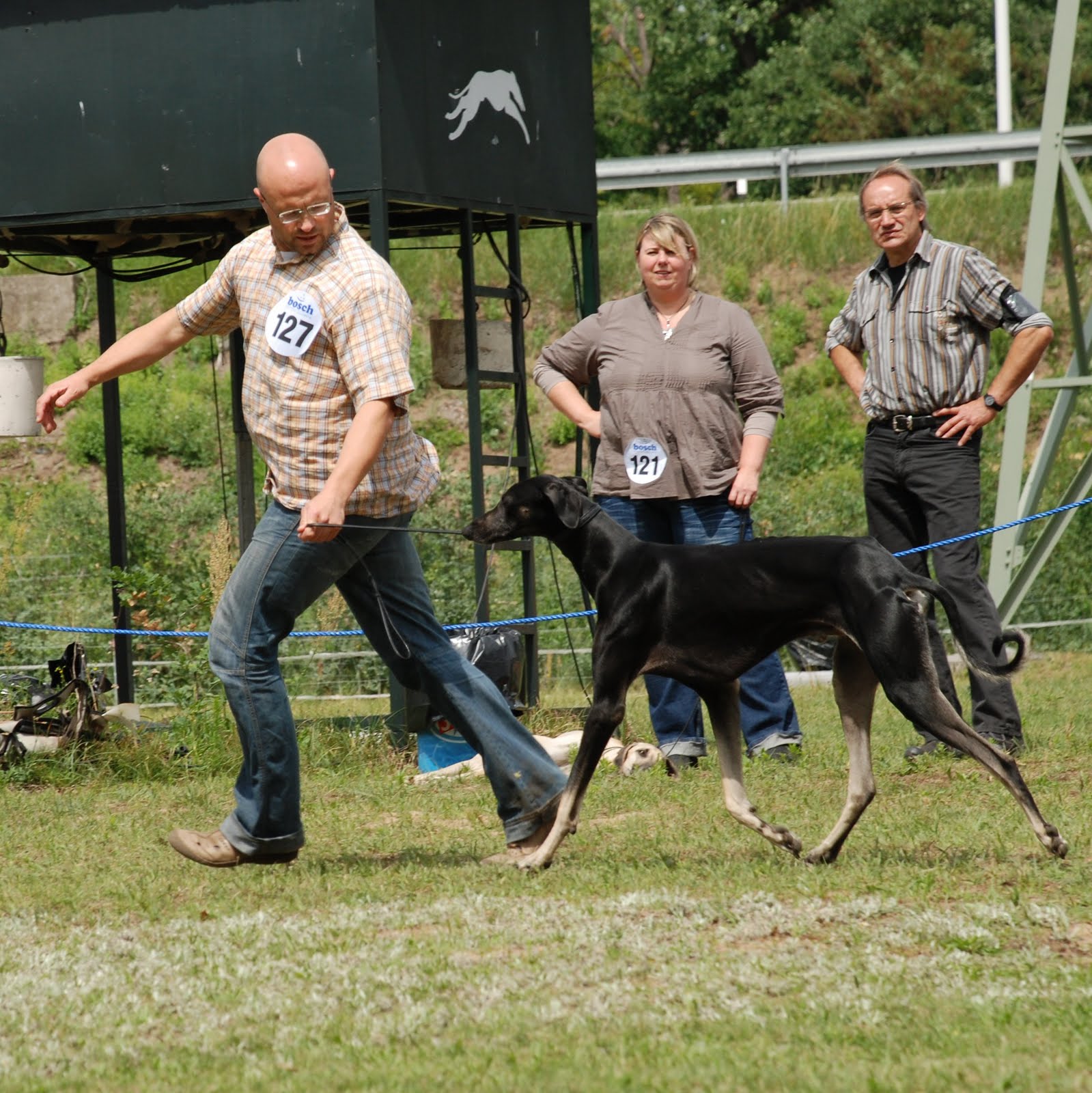 Leben Mit Sloughis Cac Darmstadt 03 Juli 2011 leben mit sloughis blogger