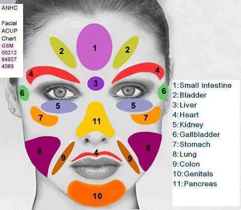 Acupressure Facial Points Chart
