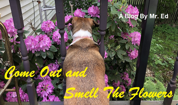 Come Out And Smell The Flowers