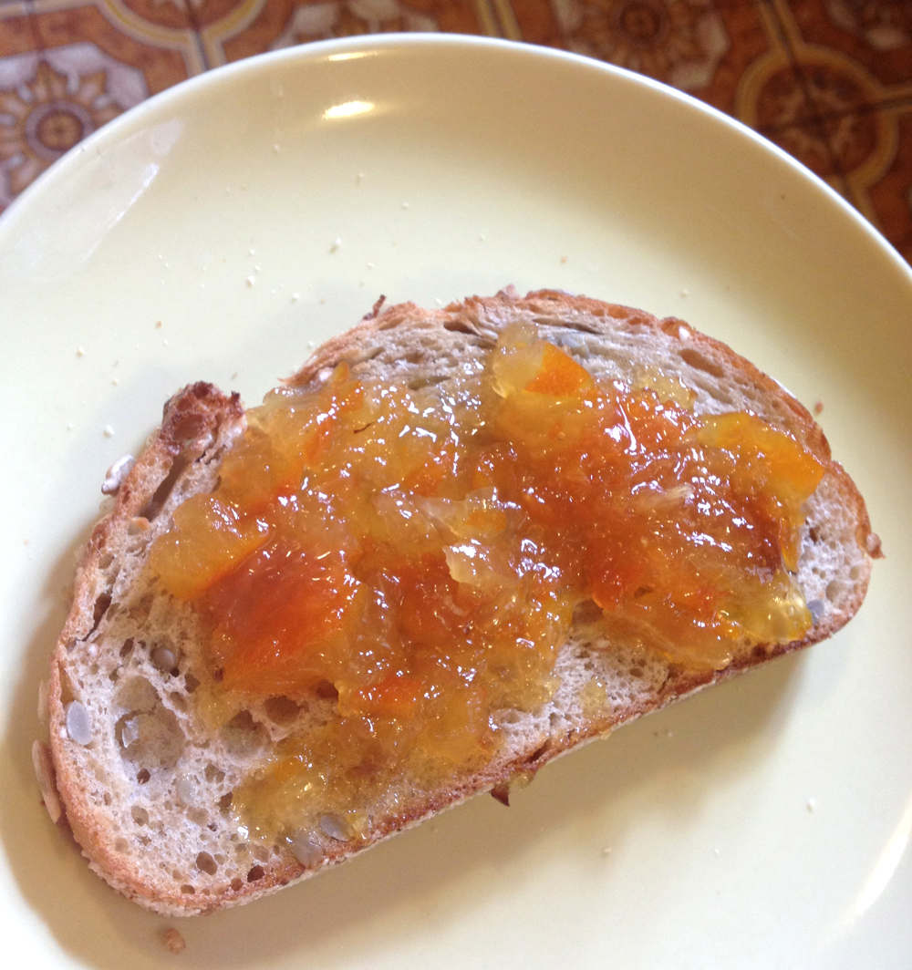 the glutton's progress Easy Seville Orange (or any citrus) Marmalade