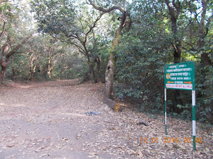 "TIGER PATH RIDE" :-  Forest trek only for "Horse-Riding" or walks.