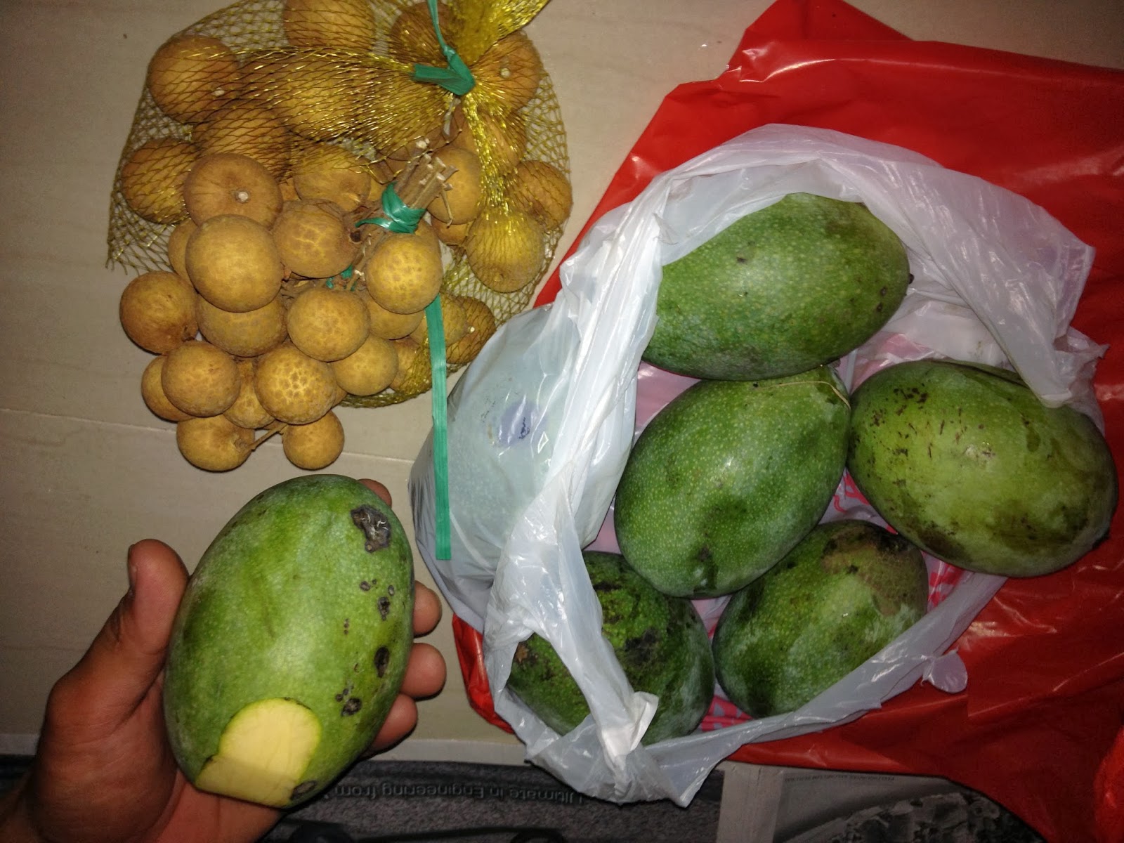 インドネシア 余白編 Lengkeng Mangga