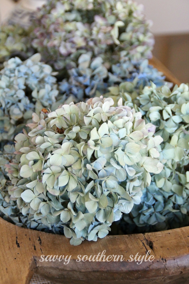 Savvy Southern Style Dried Hydrangeas