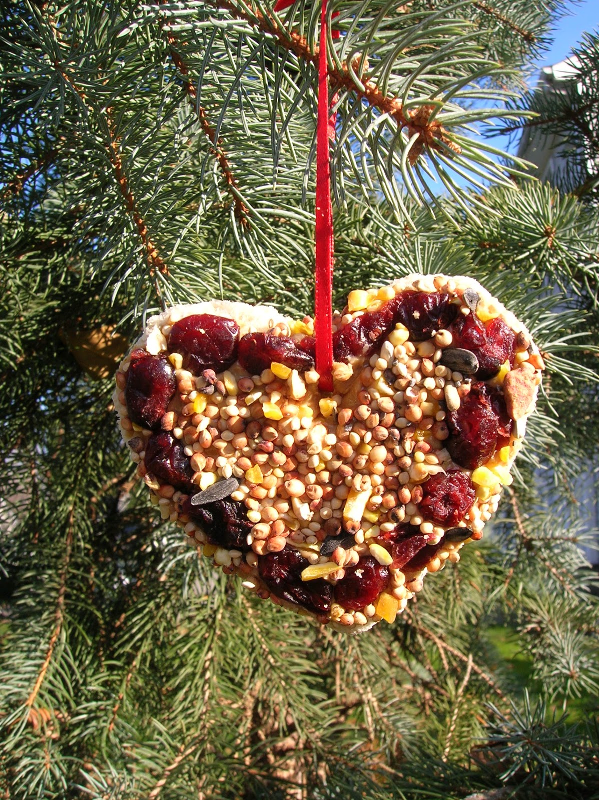 My Creative Mommy Bird Seed Treats