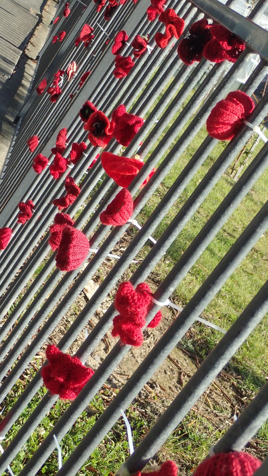 Crocheted poppies on a school fence, Anzac Day 2017