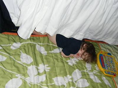 Sasha sleeping UNDER the bed