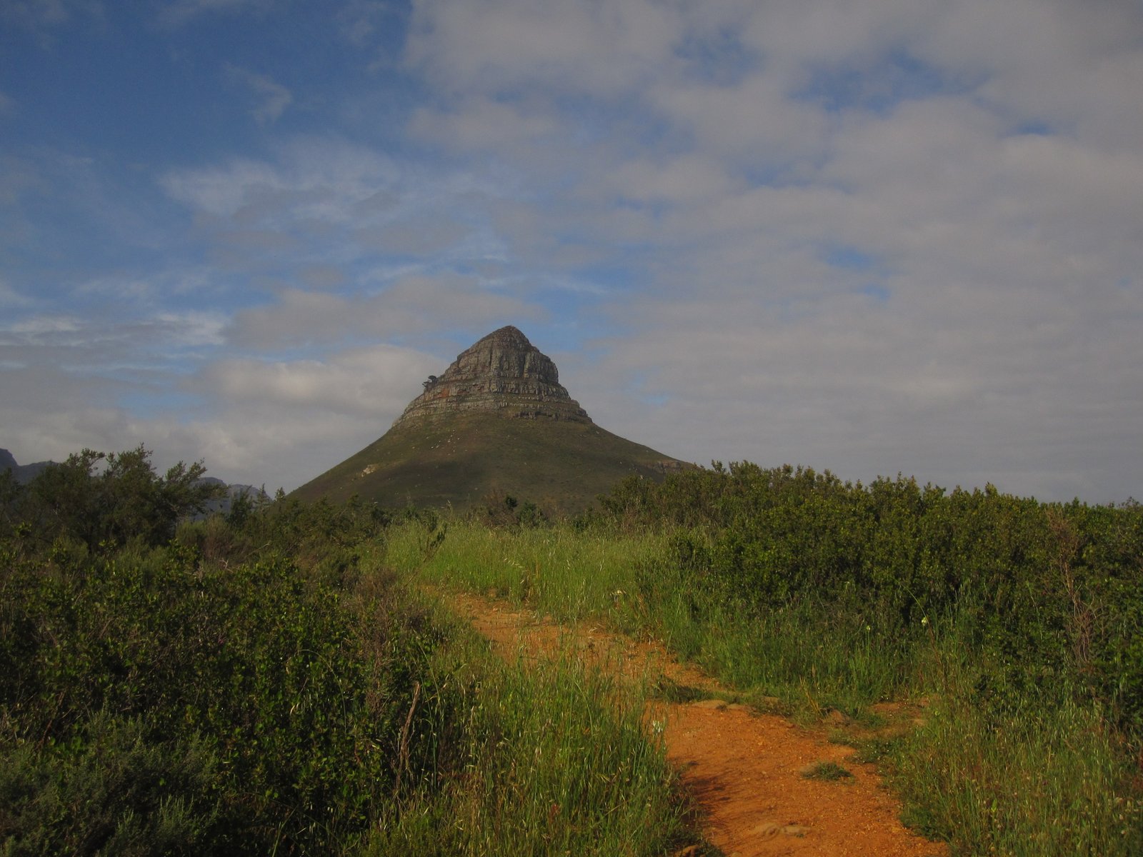 Lion's Head to Signal Hill Trail Run