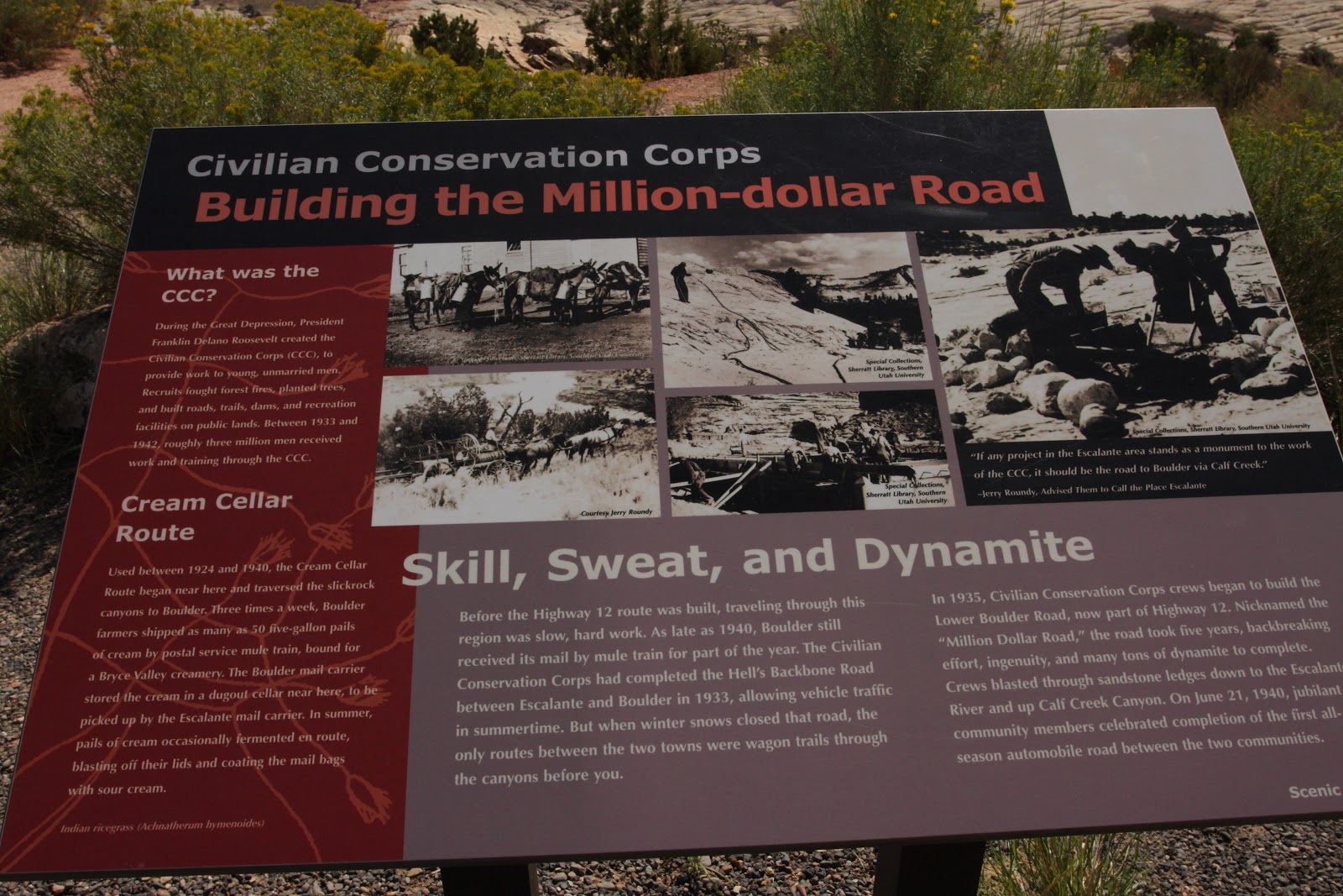 buy bactrim online pharmacy