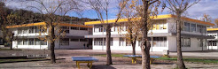 Dojo SANTA CLARA - Escola Silva Gaio