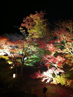 Japan, Matsushima, Autumn, Fall, 松島, 紅葉
