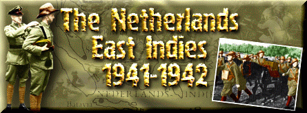 Dutch East Indies 1941-1942 Website