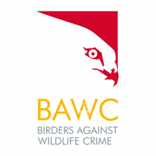 Birders Against Wildlife Crime