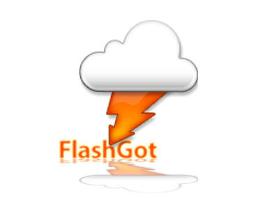 download flashgot download flashgot