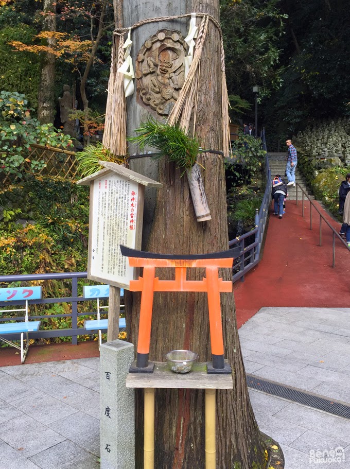 Nanzôin, Sasaguri, Fukuoka Nanzôin, Sasaguri, Fukuoka