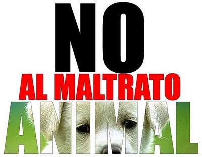 NO+AL+MALTRATO+ANIMAL.jpg