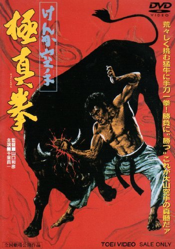 Karate Bullfighter movie
