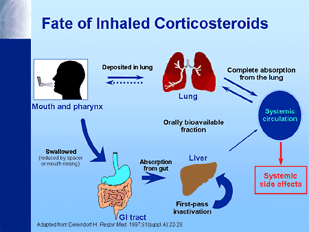 Intranasal corticosteroids moa