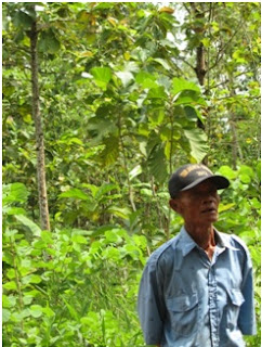 man standing in forest