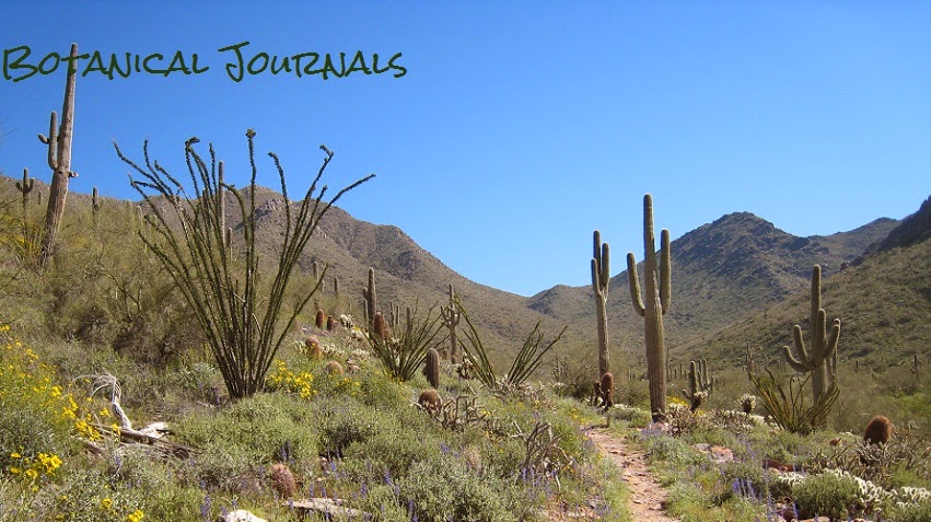 Botanical Journals