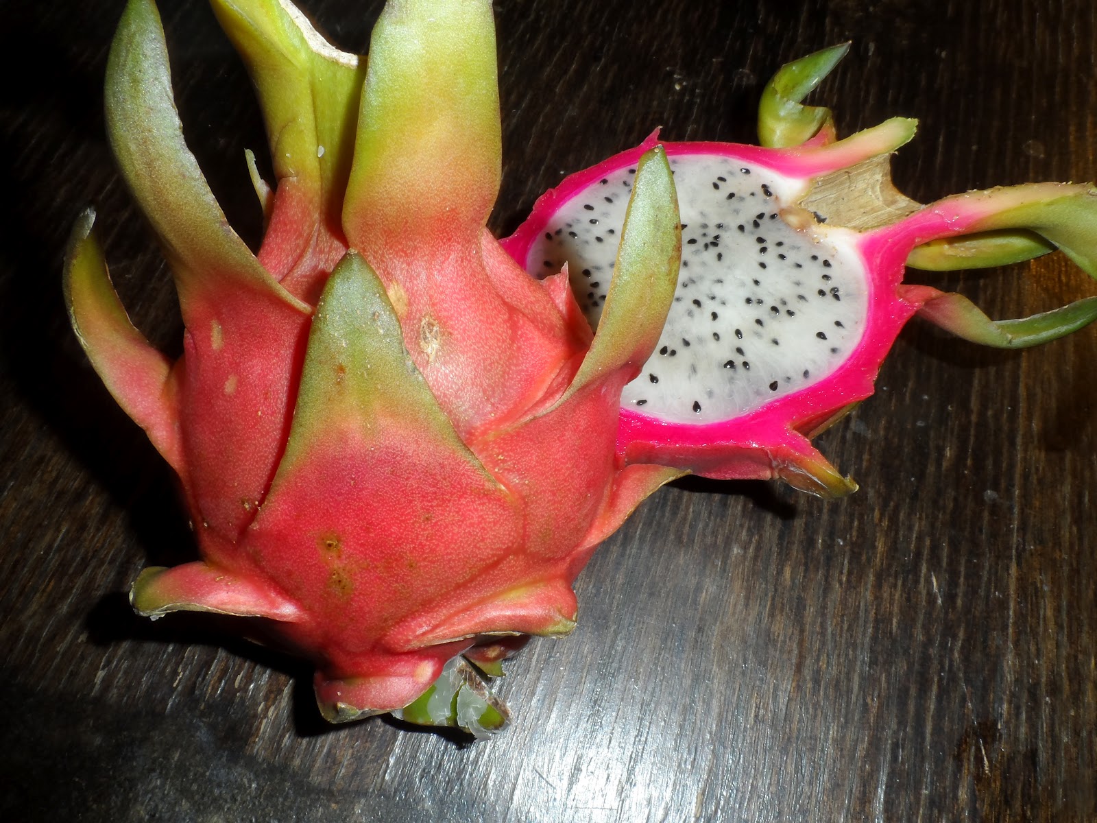 Edible Tropicals How to Propagate Dragonfruit by cuttings