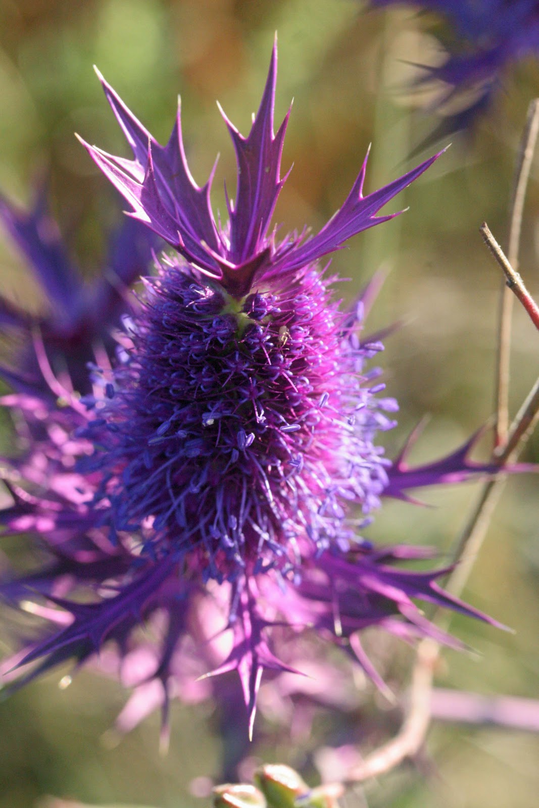 Life In Pieces October 2011