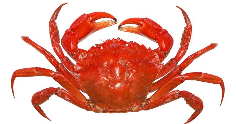 Ilmu Kimia Itu Menyenangkan Proses Pembuatan, Struktur