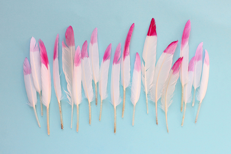 DIY dip dyed feather wall hanging 